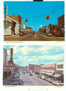 Cheboygan, MI Michigan Street Scenes Circa 1960s Unused Oversized 