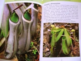   Sarawak Borneo Carnivores Nepenthes Guide Book by C Clarke New