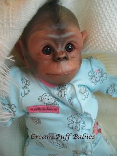 Reborn Baby Chimp Gorilla Monkey Doll Chaz Denise Pratt