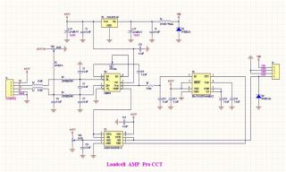  voltage output and the full scale voltage output circuit schematics