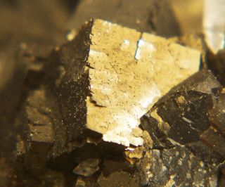 Iridescent Brown Fluorite Crystals White Rock Q Oh