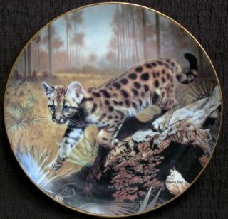 Uno by Charles Frace Plate Small Wonders of The Wild Collection Cat