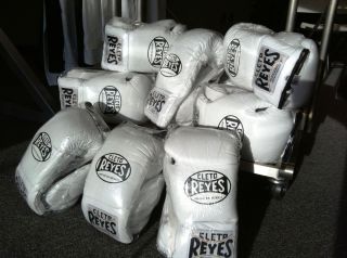 Cleto Reyes Professional Boxing Gloves White Green and Silver