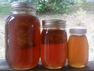  Virginia Pure Raw Honey with Comb Quart