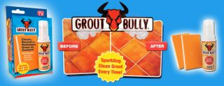 Grout Bully Tile Stain Remover Cleaner Repair Kit as Seen on TV White