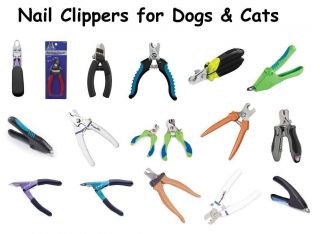 Dog Nail Trimmers Nail Clippers Pet Nail Clippers Trimmers Free