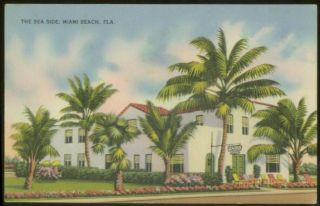 Seaside Hotel Collins Avenue Miami Beach FL Postcard