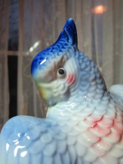 VTG Royal Copley COCKATIEL COCKATOO BLUE BIRD PARROT POTTERY PORCELAIN