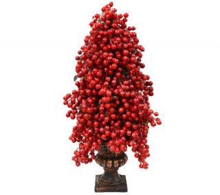 24 Red Berry Topiary by Valerie —
