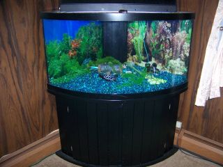 corner fish tank aquarium salt water fresh water mega flow filter