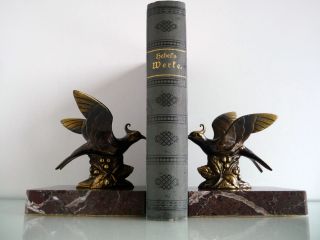 Great & Authentic Pair Of French Art Deco Bookends Birds Pewits 1930s