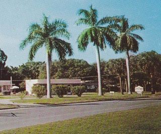 Vero Beach Florida Royal Palm Court Motel 1950SPOSTCARD