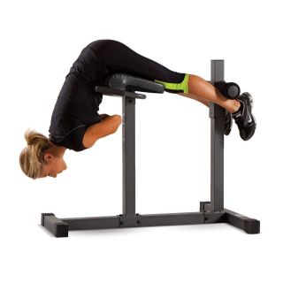  Extension Bench Exercise Workout Core Back Abdominal Muscle New