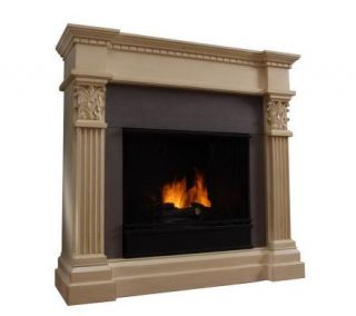 Gabrielle Freestanding Fireplace w/ Screen by Real Flame —