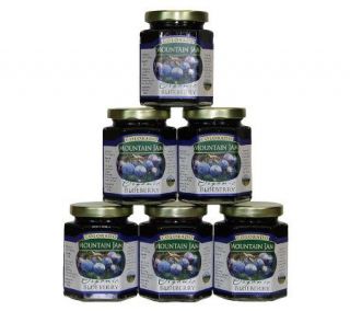 Colorado Mountain Jam Certified Organic Blueberry Jam   M111767