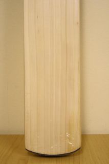 Stanford SF Power Bow English Willow Cricket Bat 2lb 10 5oz Approx RRP