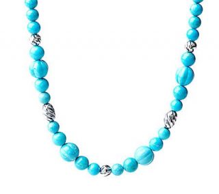 Carolyn Pollack Sterling Earth Spirit Bead Necklace —