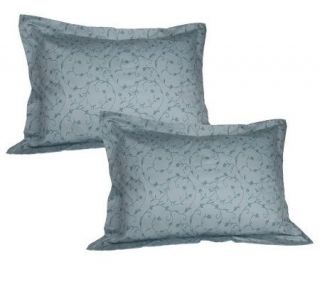 Northern Nights Set of 2 KG Egyptian Cotton Vintage Scroll Pillow 