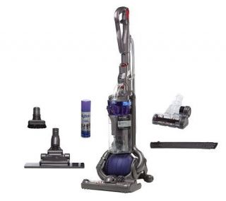 Dyson Animal DC25 Ball with Flexi Crevice Flat Out Tool & Stiff Brush 