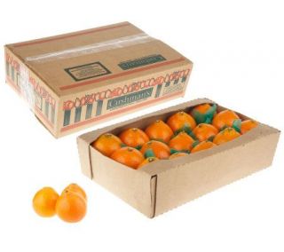 Cushmans (1) 10lb. Box Honeybells Seasonal Citrus Fruit —