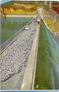 Postcard Sheep Bridge Grand Coulee Dam Washington