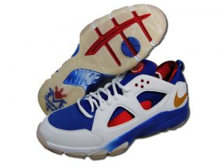Nike Men Zoom Huarach TR Low White Blue Cross Training Shoes