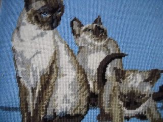  CAT KITTENS Wool NEEDLEPOINT COMPLETED Permin Blue PILLOW CHAIR COVER