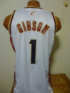  Cleveland Cavaliers Daniel Gibson Swingman Jersey Mens New M