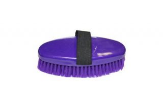  Purple Adult Brush 245821