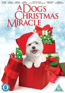  Miracle New PAL Kids Family DVD Michael Feifer Cynthia Gibb