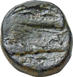 Alexander III The Great of Macedon AE17 Ancient Greek Bronze Coin
