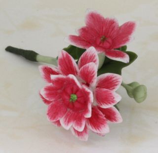 Clay Dollhouse Miniature Handmade Flower Flora Dahlia COMPOSITAE 3 1 2