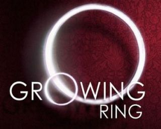 Magic Trick Growing Ring by Dan Hauss Papercrane DVD Gimmicks