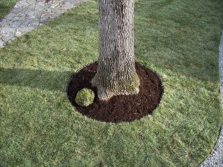 DeWitt Tree Ring 4 Landscape Edging Kit Mulch Barrier with Weed