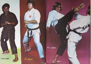 1973 Official Karate Annual Al Dacascos Alan Lee Black Belt Kung Fu