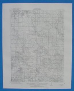 Holly Flint Fenton Goodrich Michigan 1920 Topo Map