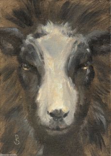 Sepos Daily Painting a Day Eye to Eye, Wooly Sheep close, friendly