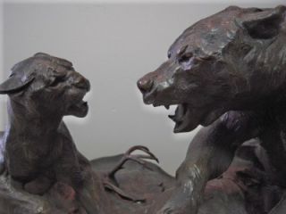 Dennis Anderson Mountain Lion Fighting Grizzly Bear Large Bronze