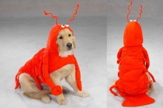 Our Lobster Paws Dog Costumes are soft, durable, polyester costumes.