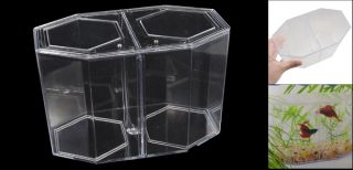  Plastic Hexagon Type Hatchery Fish Tank Aquarium Dual Betta Hex Kit