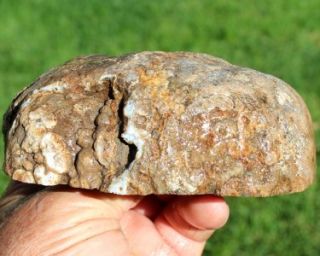 UTAH DUGWAY GEODE, Specimen, Fossil,Mineral,agate,specimen,465 grams
