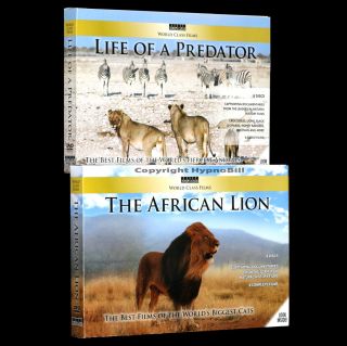 16 DVD COMBO The African Lion Life Of A Predator Wildlife Animals PBS