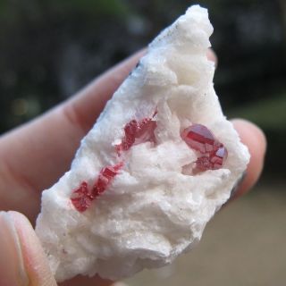 Red Cinnabar Crystal on Dolomite cbgz2if0812