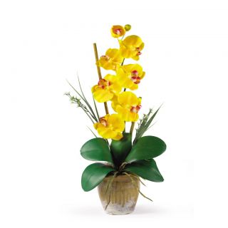 Gold Yellow Single Stem Phalaenopsis Silk Orchid Flower Floral