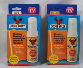 As Seen on TV Grout Bully Cleans Renews Redesigns Grout 2 Colors to