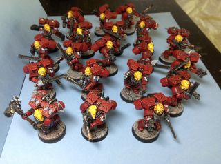 Beautifuly Painted and Converted Blood Angel Army Warhammer 40k