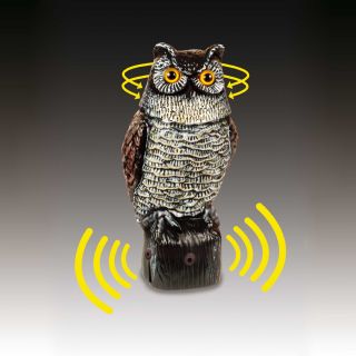 Easy Gardener Electronic Owl Garden Defense Electronic Owl