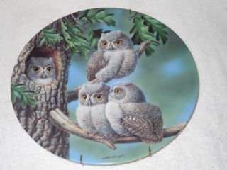 1991 Edwin M Knowles Peek A Whoo Screech Owl Plate