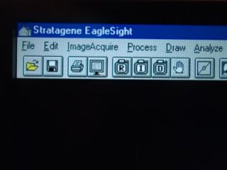 Stratagene Eagle Eye II Eyesight Software