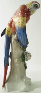 Antique Ernst Bohne Porcelain Parrot Bird Figurine Germany